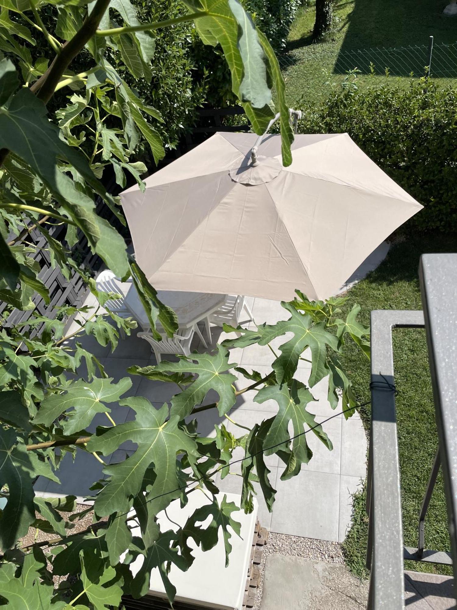 Casa Sivori Sul Lago Di Garda Con Ampio Giardino Десенцано дел Гарда Екстериор снимка