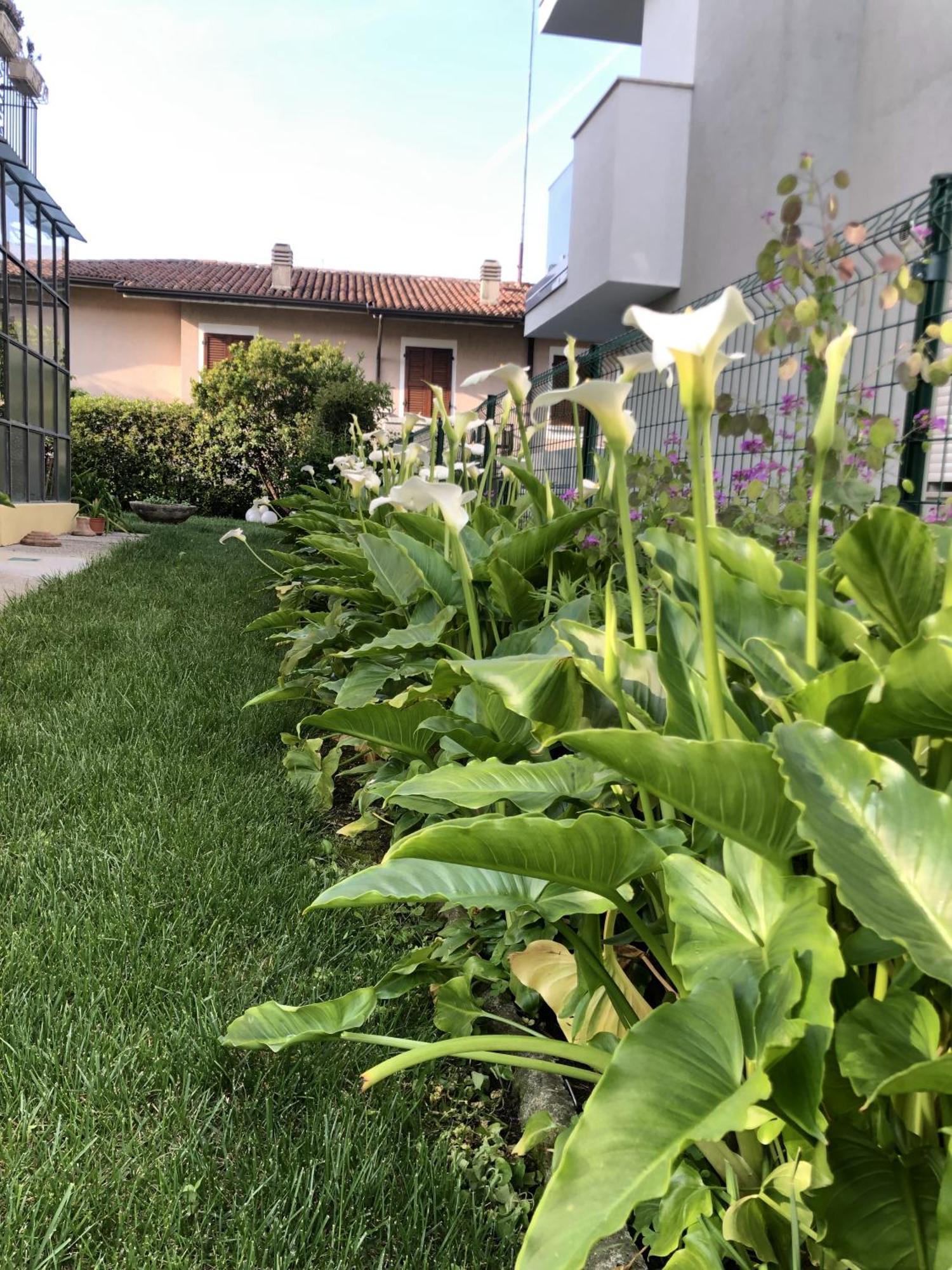 Casa Sivori Sul Lago Di Garda Con Ampio Giardino Десенцано дел Гарда Екстериор снимка